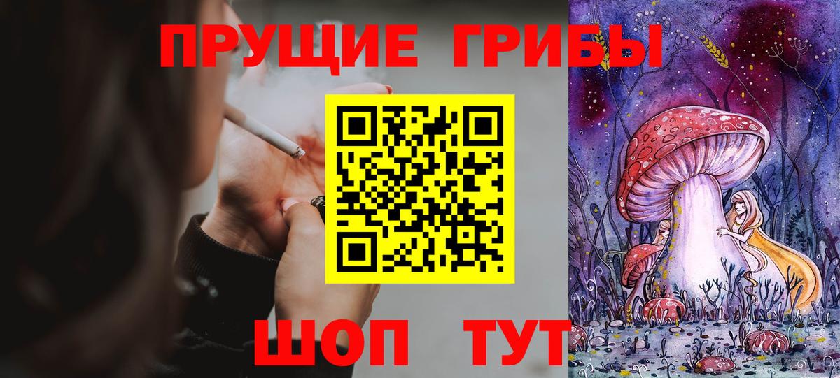 Миасс  Псилоцибиновые грибы мухоморы  Псилоцибиновые грибы GOLDEN TEACHER  Вход с VPN 